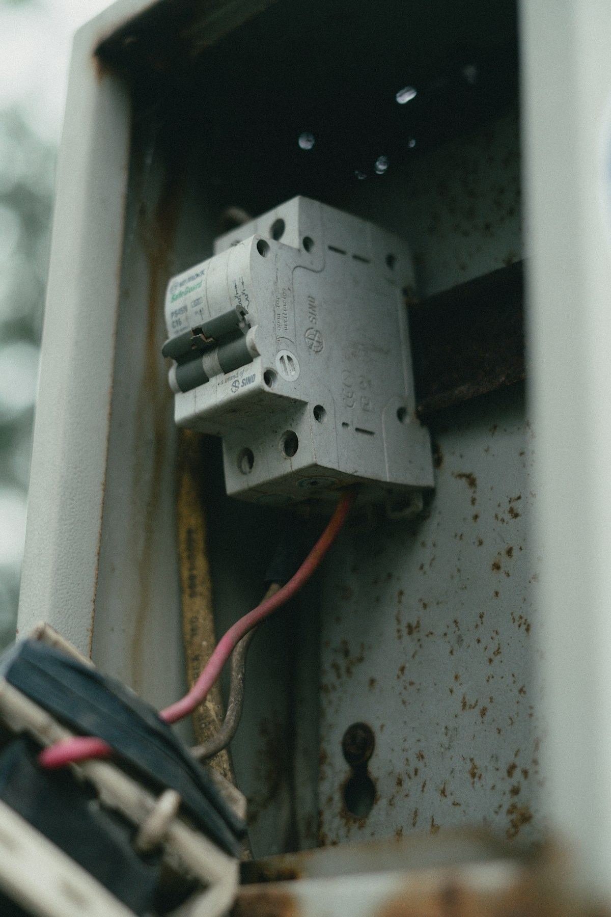 Close-up of an electrical panel interior with breaker switches — what a modern replacement panel looks like